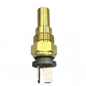 Hyundaı Müşür Hararet L300 98-04/H100 98-04/Starex 98-06/ L200 98-05 (2 Pin)
