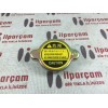 Radyatör Kapağı | Tüm Kia Grupları 0.9